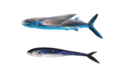 Soft Plastic Fork Tail Lure - 11.2g, 12.4cm - Flying Fish Design 2pcs set